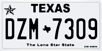 TX license plate DZM7309