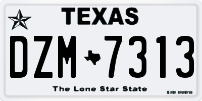 TX license plate DZM7313