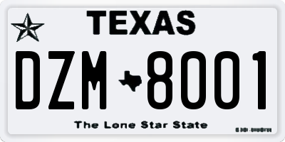 TX license plate DZM8001