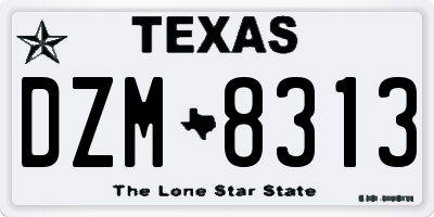 TX license plate DZM8313