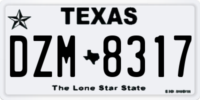 TX license plate DZM8317