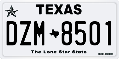 TX license plate DZM8501