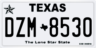 TX license plate DZM8530