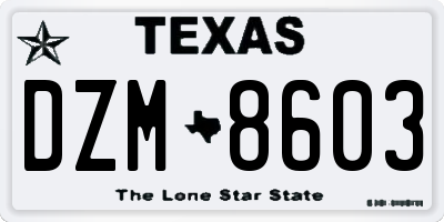 TX license plate DZM8603