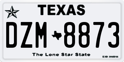 TX license plate DZM8873