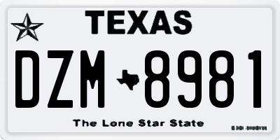 TX license plate DZM8981