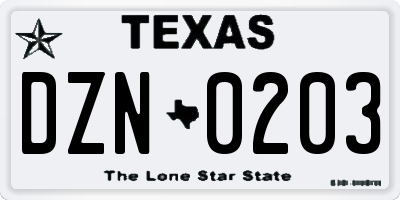 TX license plate DZN0203