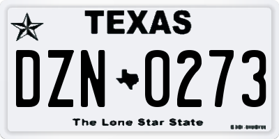 TX license plate DZN0273