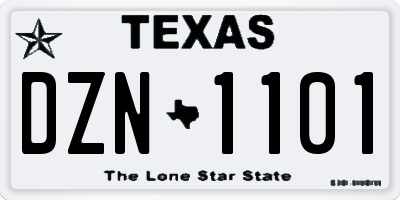 TX license plate DZN1101