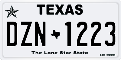 TX license plate DZN1223