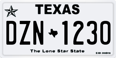 TX license plate DZN1230