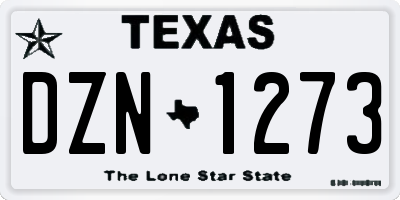 TX license plate DZN1273
