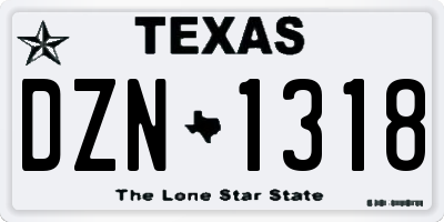 TX license plate DZN1318