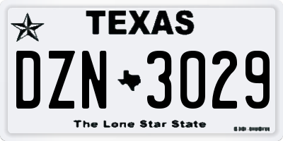 TX license plate DZN3029