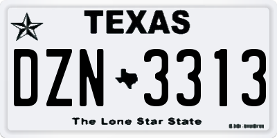TX license plate DZN3313