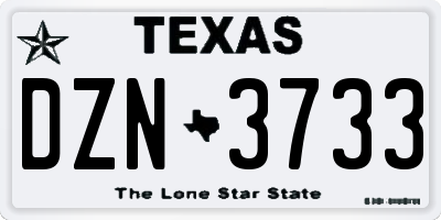 TX license plate DZN3733