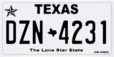 TX license plate DZN4231