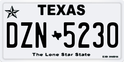 TX license plate DZN5230