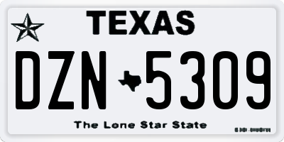 TX license plate DZN5309