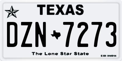 TX license plate DZN7273