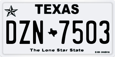 TX license plate DZN7503