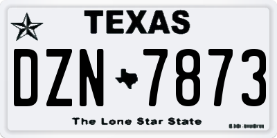 TX license plate DZN7873