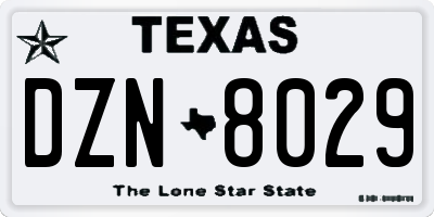 TX license plate DZN8029