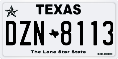 TX license plate DZN8113