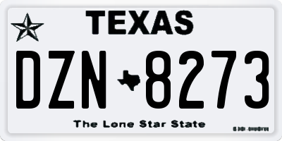 TX license plate DZN8273