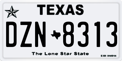 TX license plate DZN8313