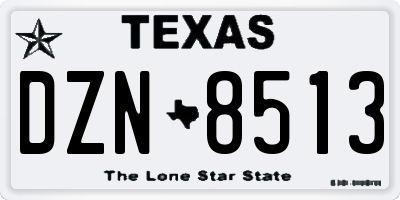 TX license plate DZN8513