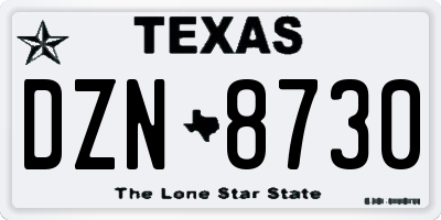TX license plate DZN8730