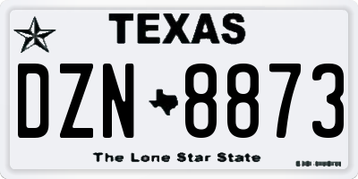 TX license plate DZN8873