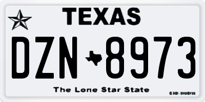 TX license plate DZN8973