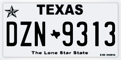 TX license plate DZN9313