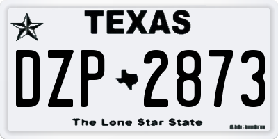 TX license plate DZP2873