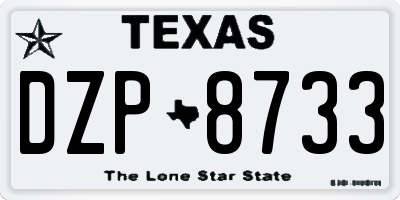 TX license plate DZP8733