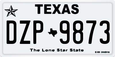 TX license plate DZP9873
