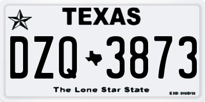 TX license plate DZQ3873