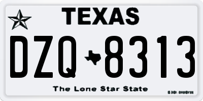 TX license plate DZQ8313