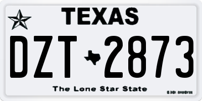 TX license plate DZT2873