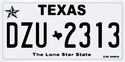 TX license plate DZU2313