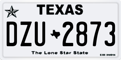 TX license plate DZU2873