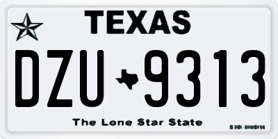 TX license plate DZU9313