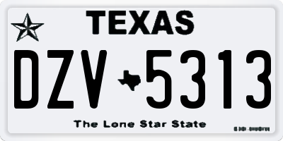TX license plate DZV5313