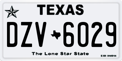 TX license plate DZV6029