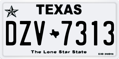 TX license plate DZV7313
