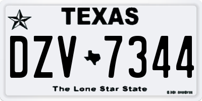 TX license plate DZV7344