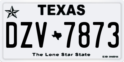 TX license plate DZV7873