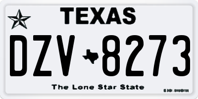 TX license plate DZV8273